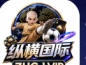 纵横国际